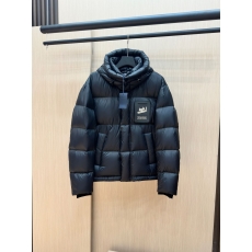 Louis Vuitton Down Jackets